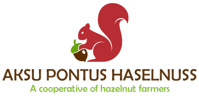 Aksu Logo